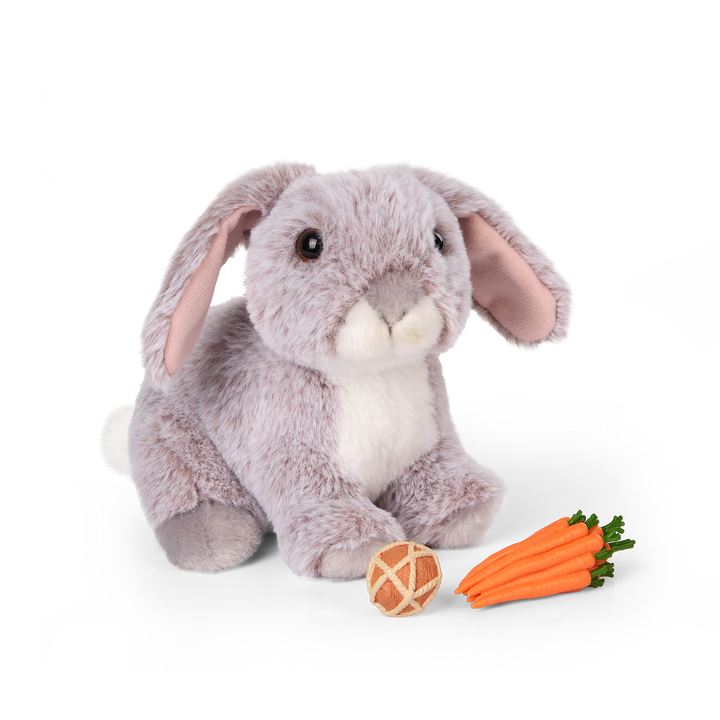 Hop In Bunny Carrier