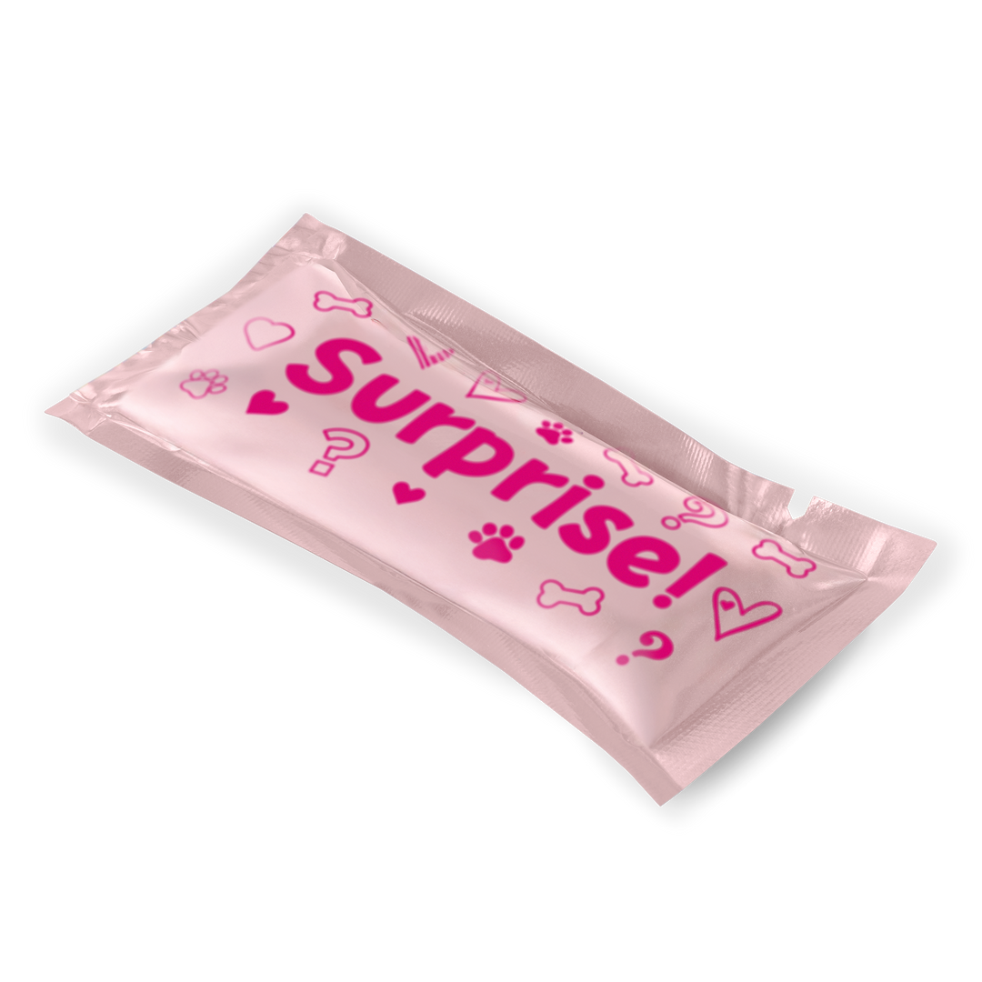 Our Generation Surprise Pets Puppy Series